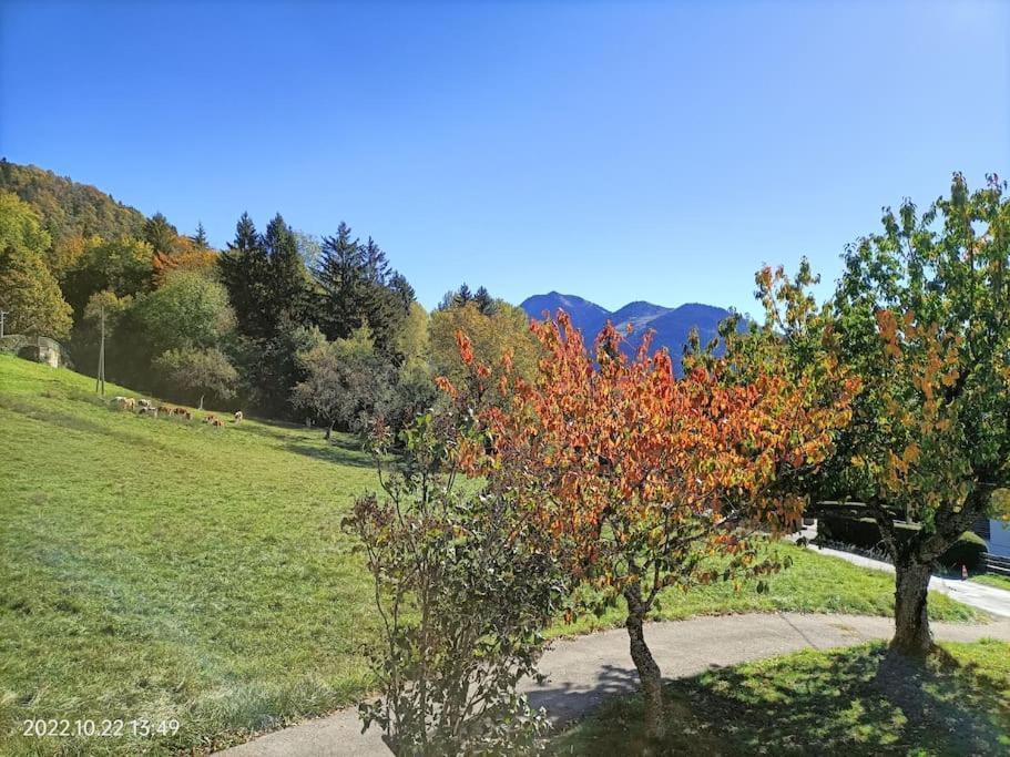 Gite Coeur De Haute-Savoie Viuz-en-Sallaz Zewnętrze zdjęcie