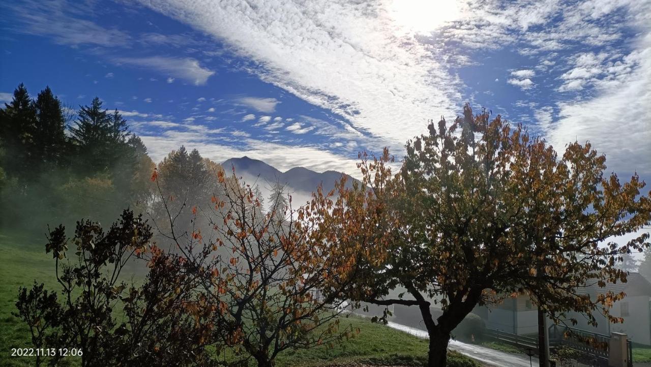 Gite Coeur De Haute-Savoie Viuz-en-Sallaz Zewnętrze zdjęcie